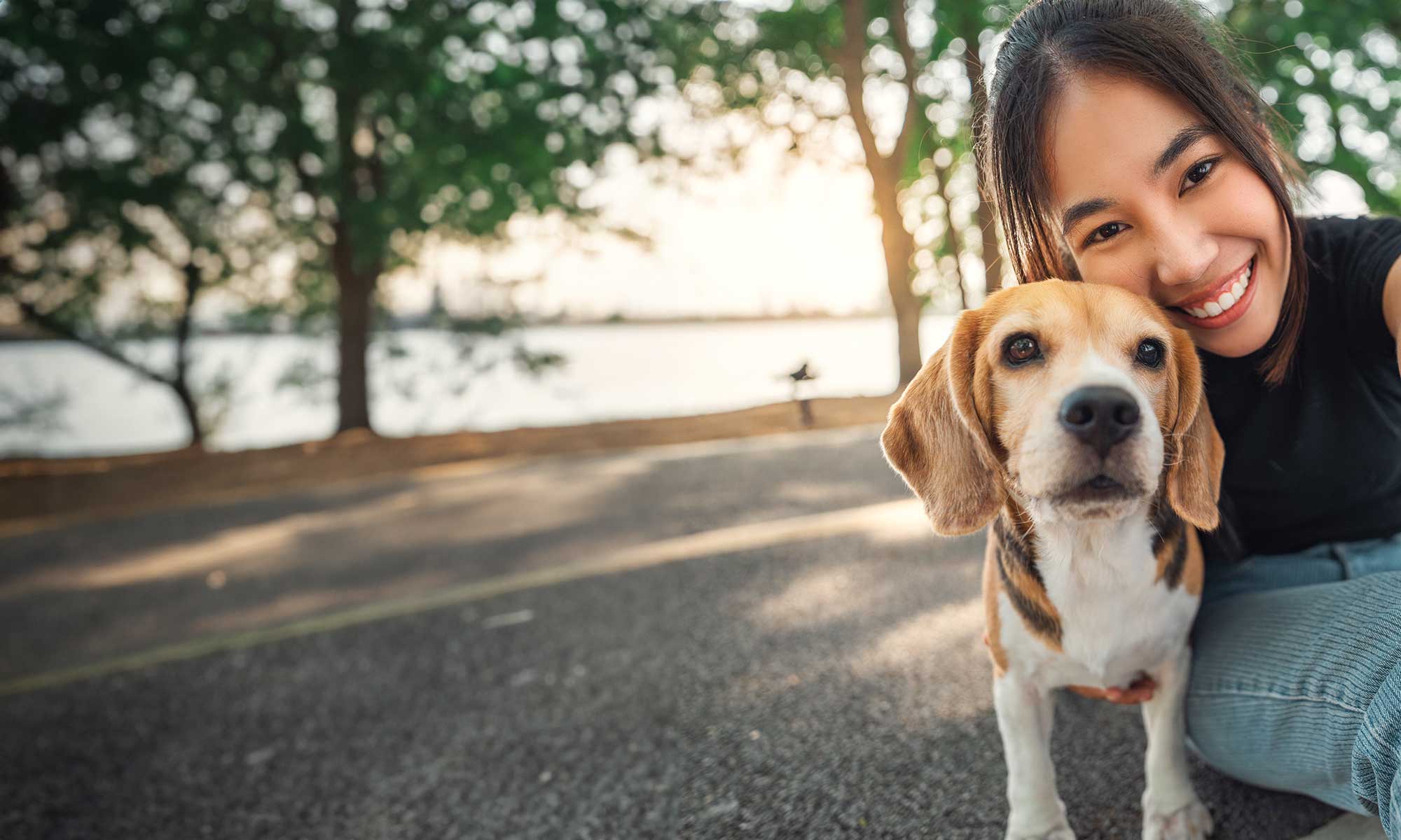 A beagle with their human outdoors